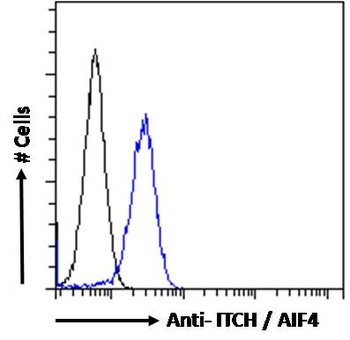 ITCH Antibody