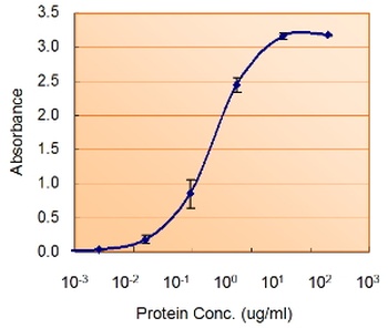 AIF1 Antibody