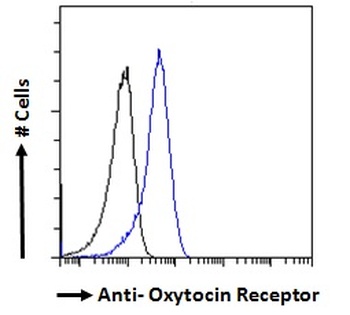 ACSL5 Antibody