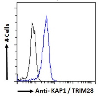 TRIM28 Antibody