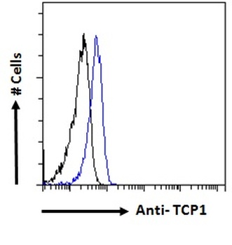 TCP-1 Antibody