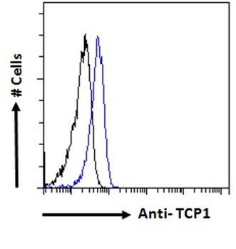 TCP1 Antibody