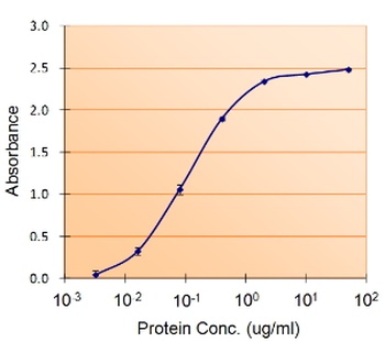 SERPINE1 Antibody