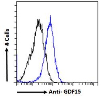GDF15 Antibody