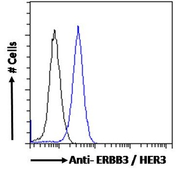 ERBB3 Antibody