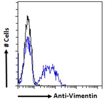 Acrosin light chain Antibody