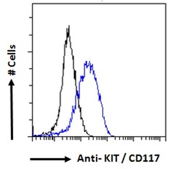 Caspase 6 alpha Antibody