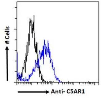 POU2F2/OCT2 Antibody