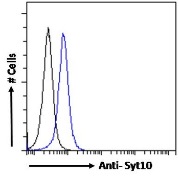 SDCCAG8 Antibody