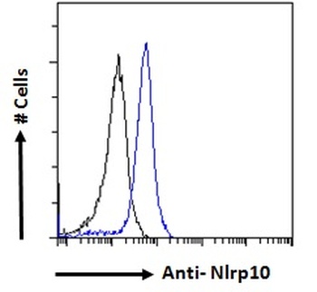 PTCHD3 Antibody