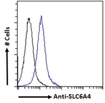 SRD5A1 Antibody