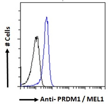 GPR17 Antibody