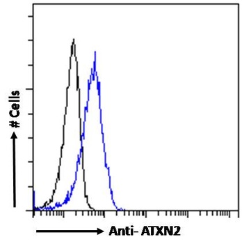 LY6E Antibody