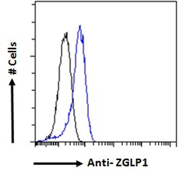 TRIM71 Antibody