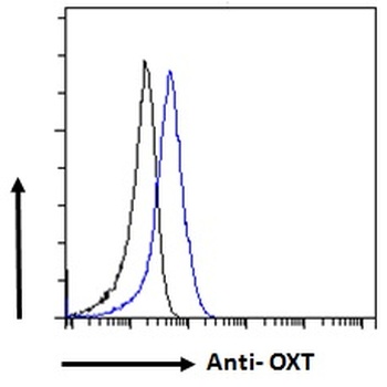 TRIM29 Antibody