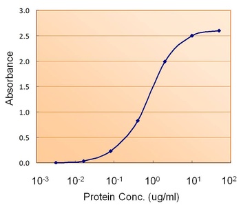 IGFBP7 Antibody