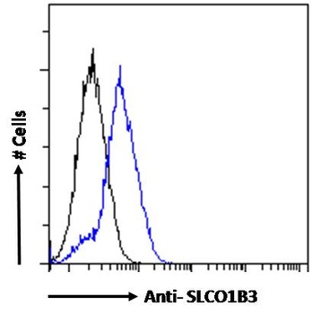 MDFI Antibody