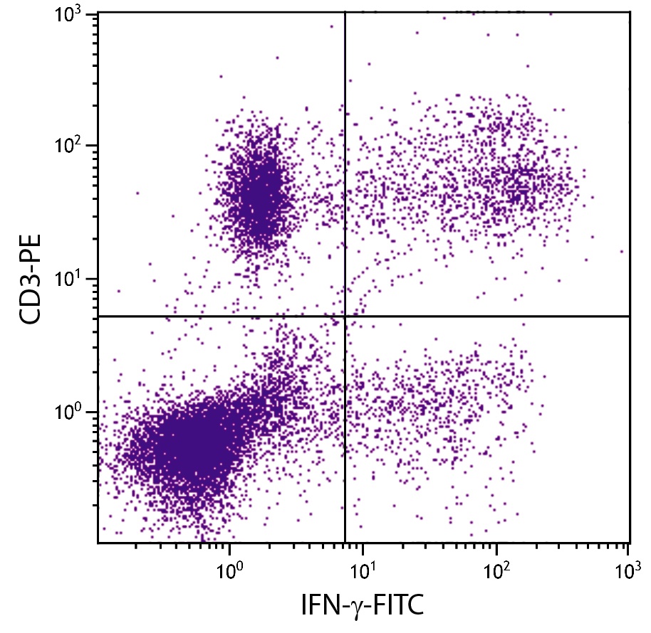 IFNG Antibody (FITC)