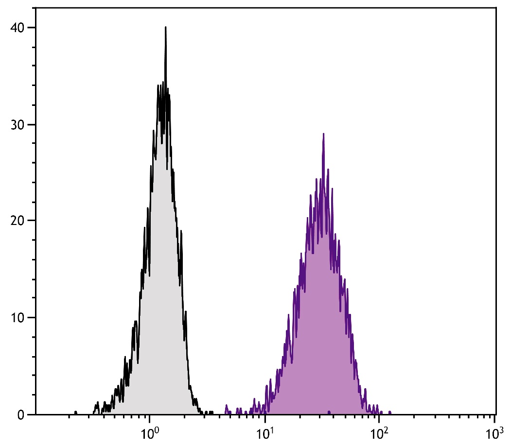 ENG Antibody (APC)