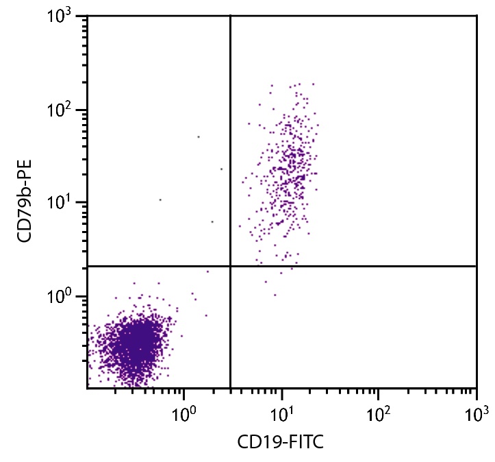 CD79B Antibody (PE)