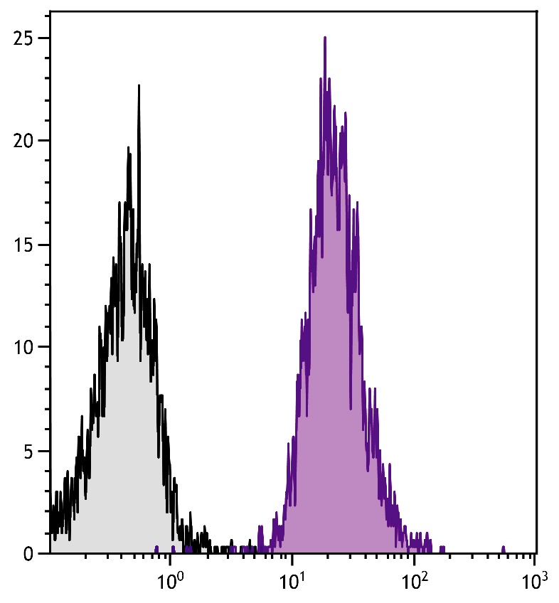 CD40 Antibody (APC)
