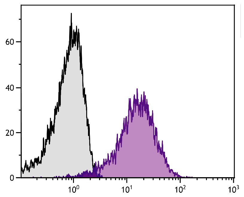 CD36 Antibody (FITC)