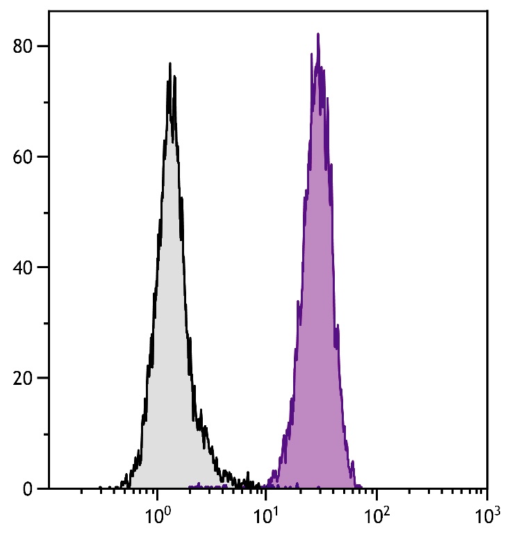 ITGAM Antibody (Biotin)