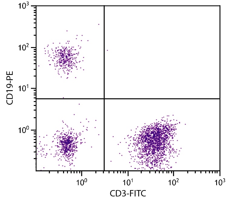 CD19 Antibody (PE)