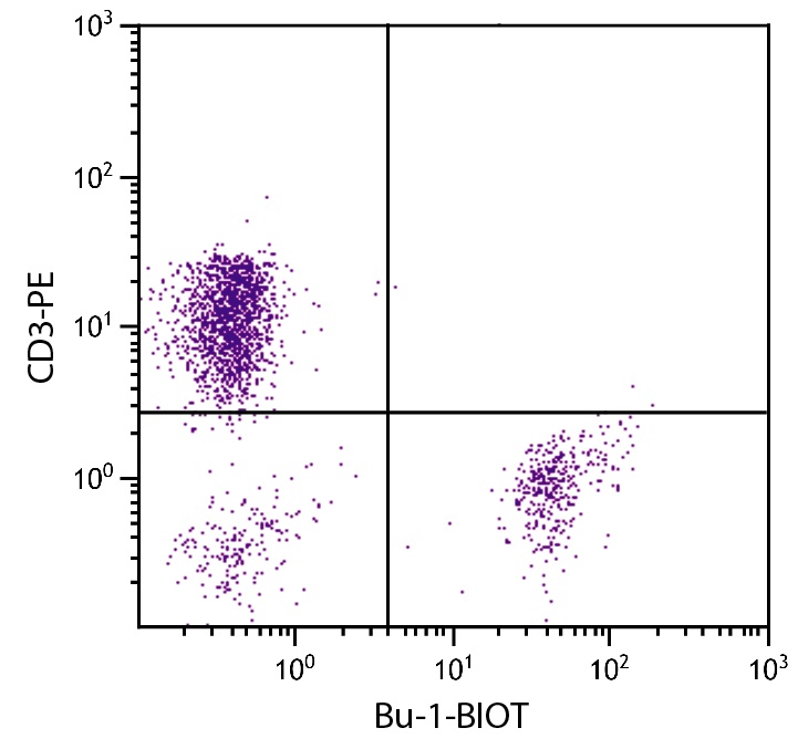 Bu-1 Antibody [AV20] (Biotin)