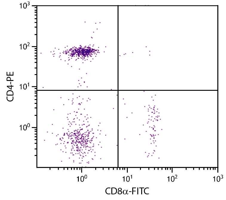 CD8A Antibody (FITC)