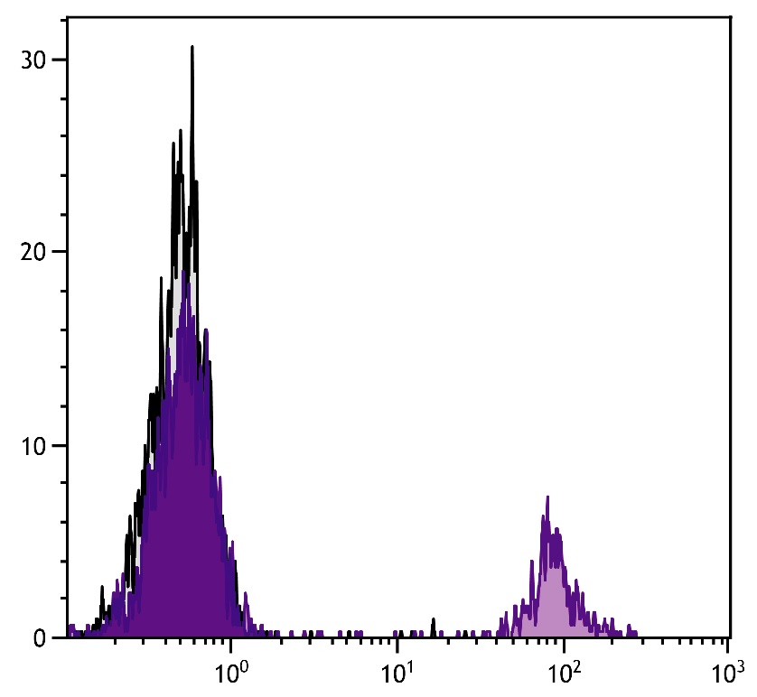 OC396098 Antibody