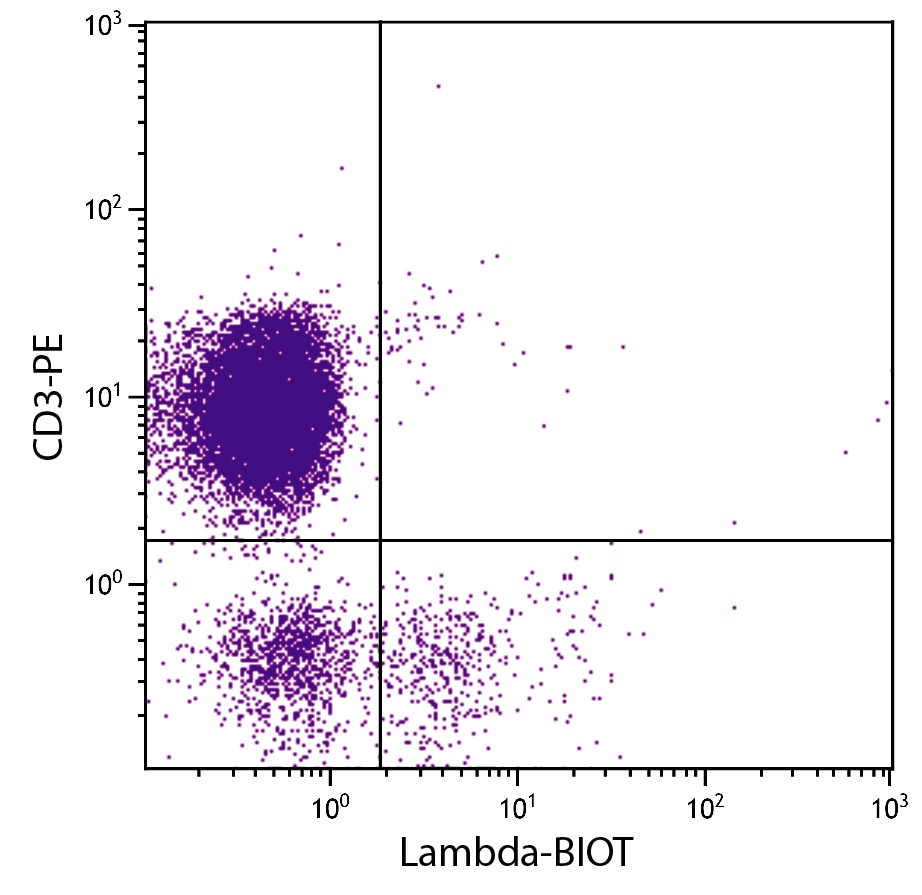 Lambda Antibody [L-1] (Biotin)