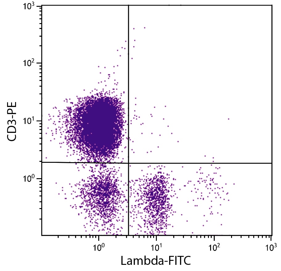 Lambda Antibody [L-1] (FITC)