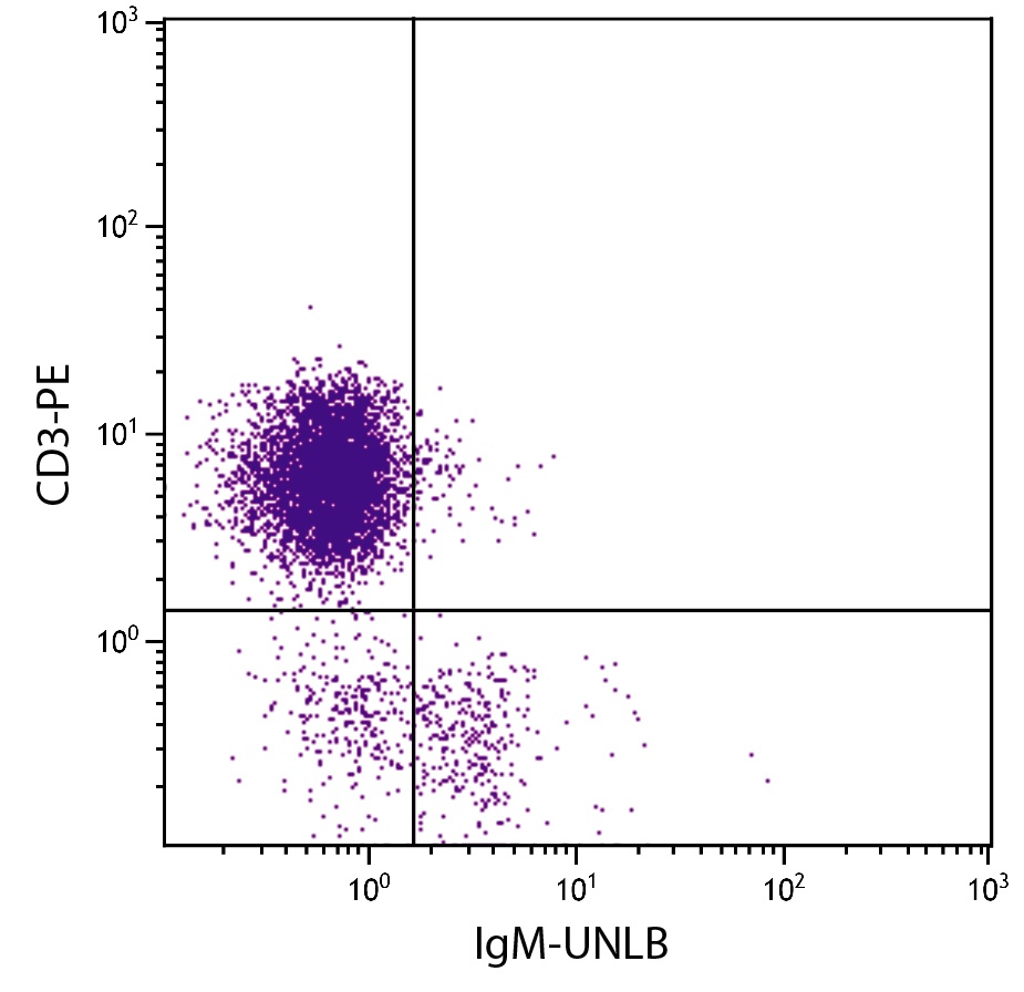 IgM Antibody [M-4]