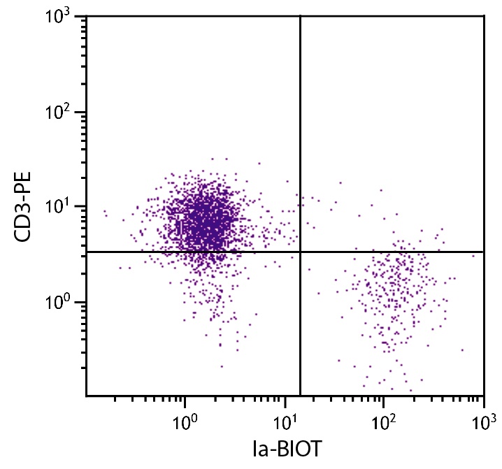 Ia Antibody [CIa] (Biotin)