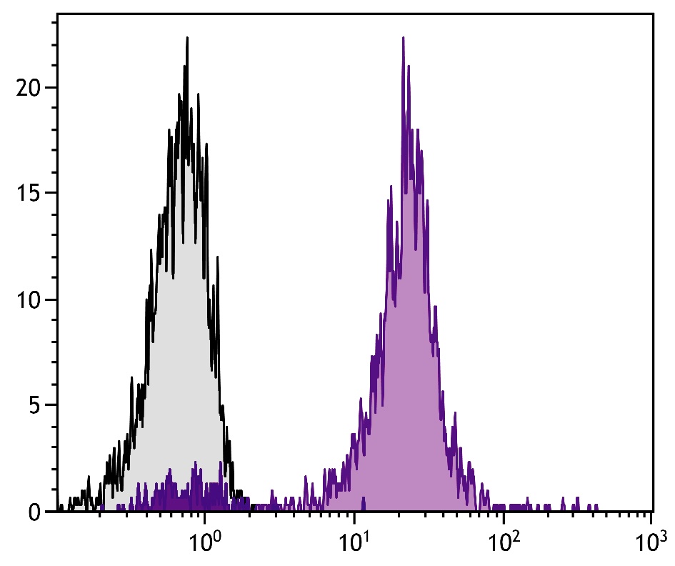 PTPRC Antibody (Biotin)