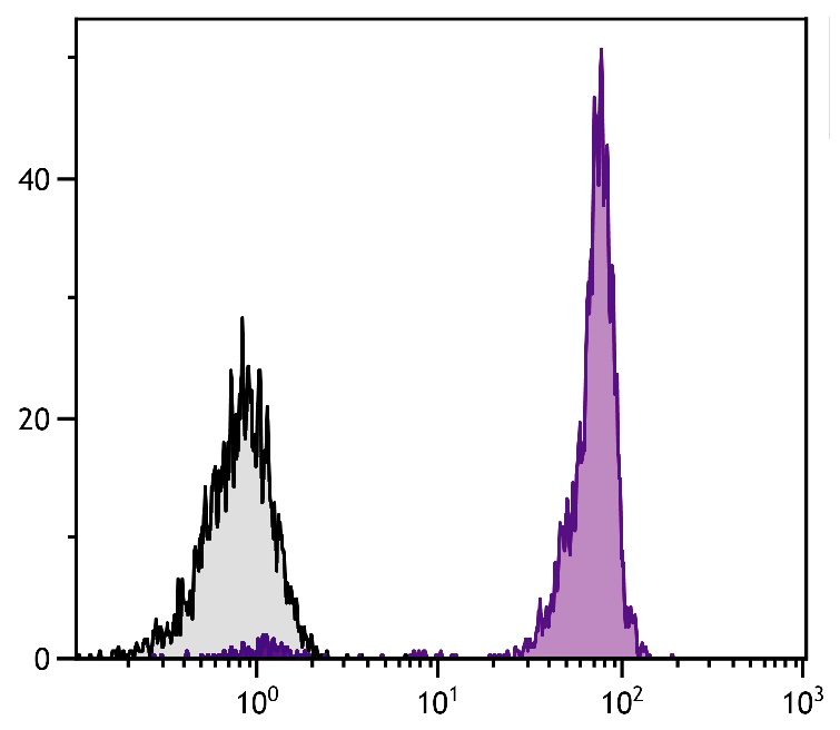 PTPRC Antibody (FITC)