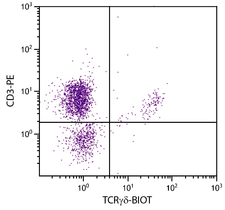 TCRgd Antibody [TCR-1] (Biotin)