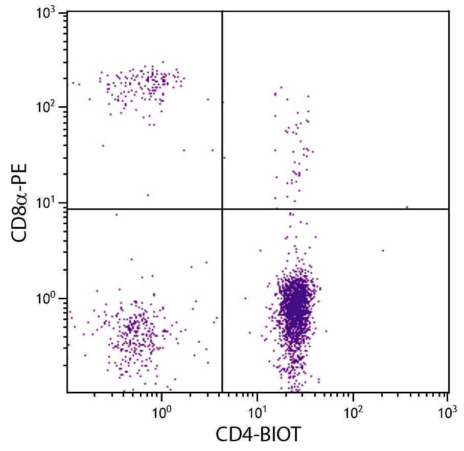 CD4 Antibody (Biotin)