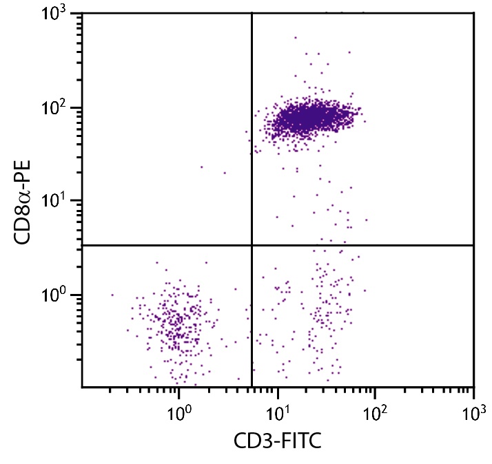 CD3D Antibody (FITC)