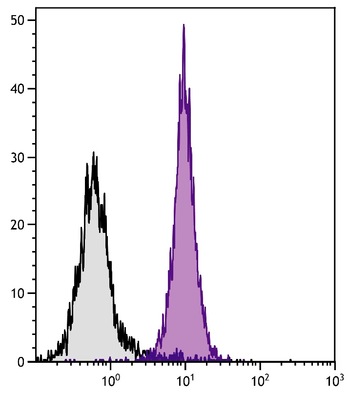 H2-D1 Antibody