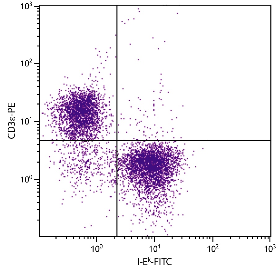 H2-Eb1 Antibody (FITC)
