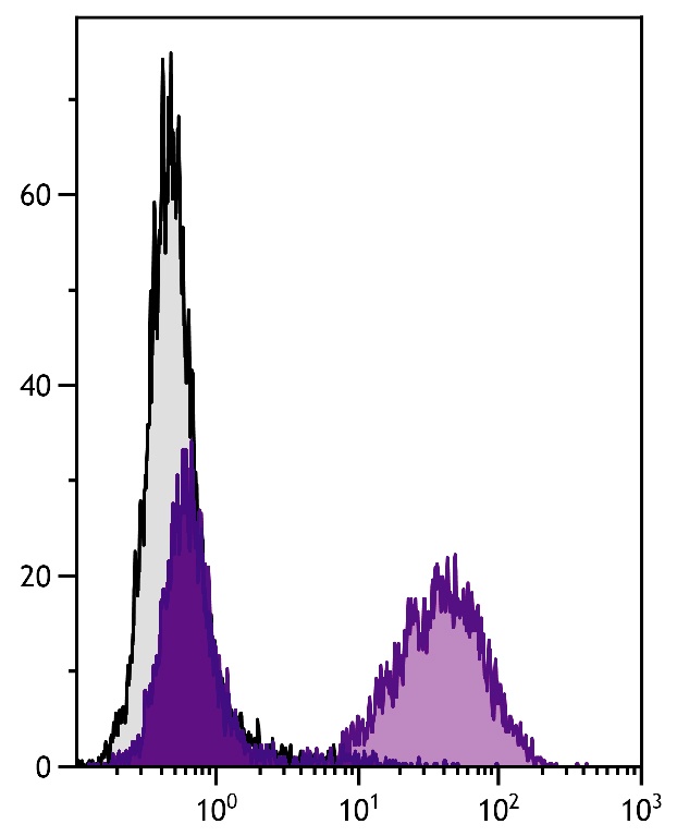 H2-Aa Antibody (Biotin)