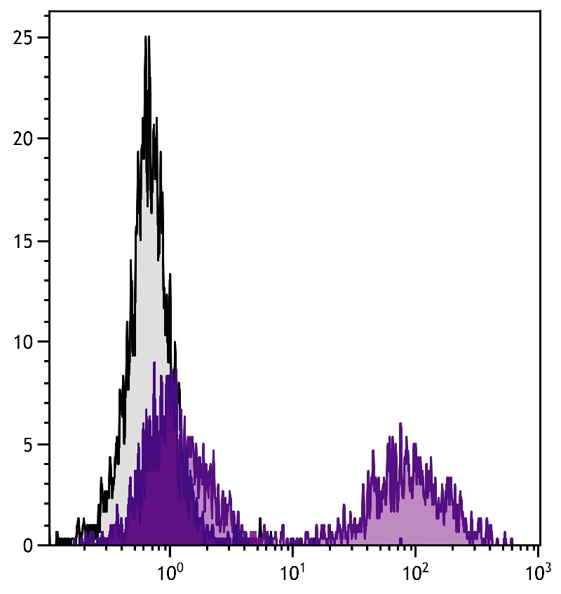H2-Aa Antibody (FITC)