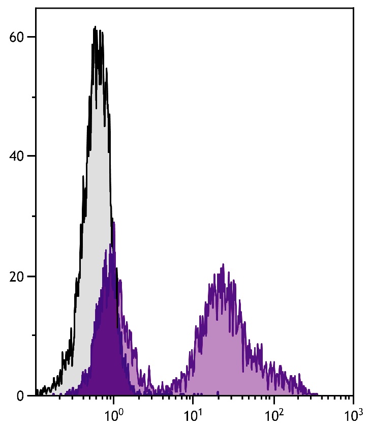 Cd24a Antibody