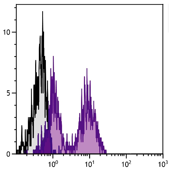 Klrd1 Antibody (FITC)