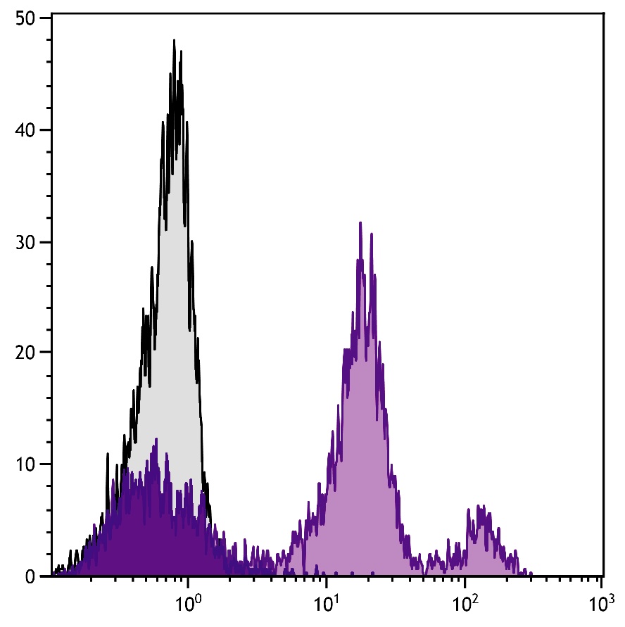 Ly6c1 Antibody (Biotin)