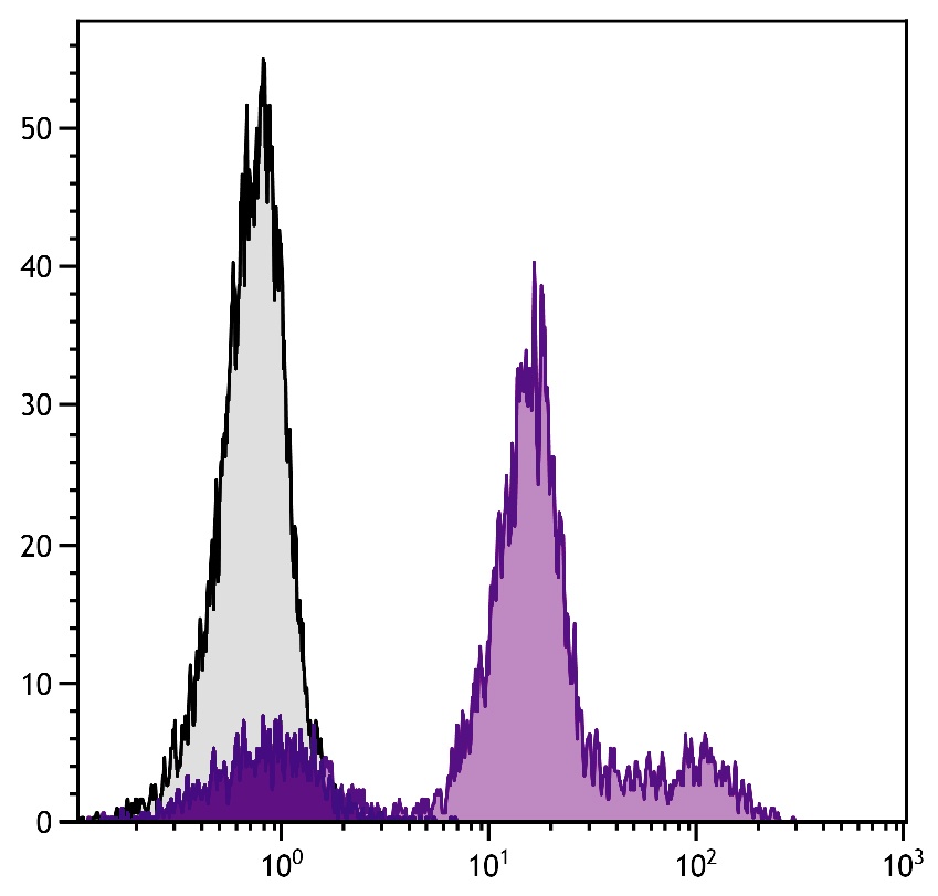 Ly6c1 Antibody (FITC)