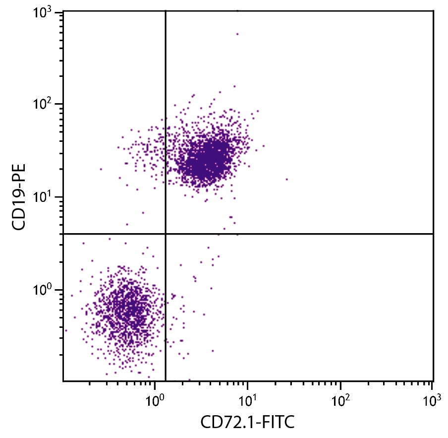Cd72 Antibody (FITC)