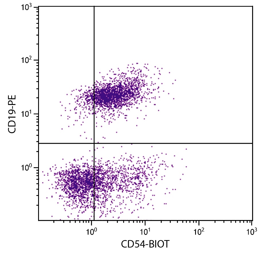 Icam1 Antibody (Biotin)